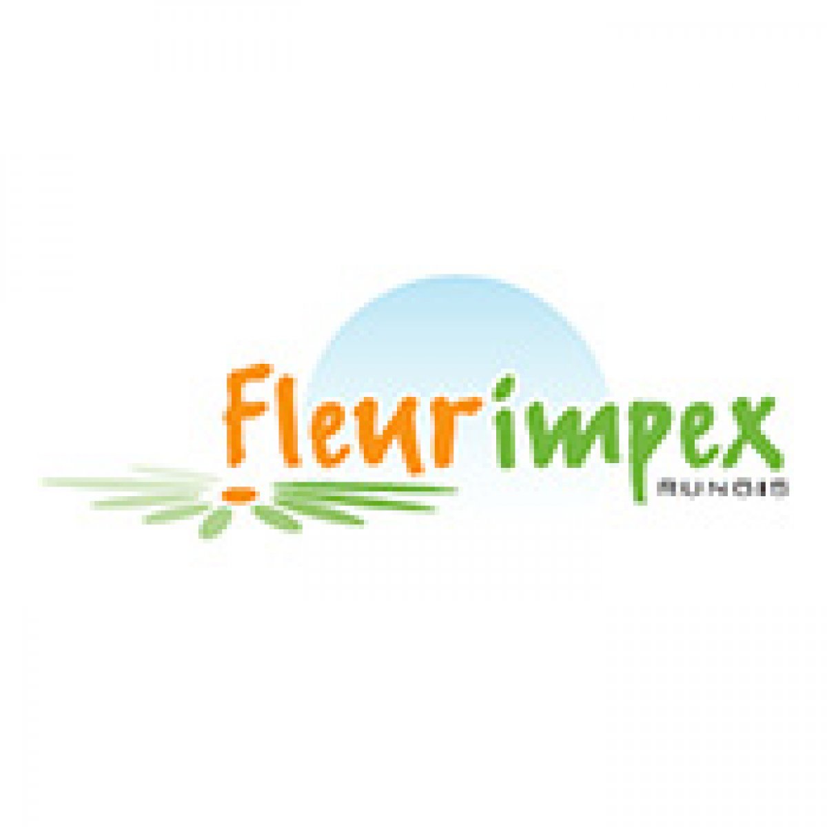 Fleurimpex recrute des vendeurs de sapins